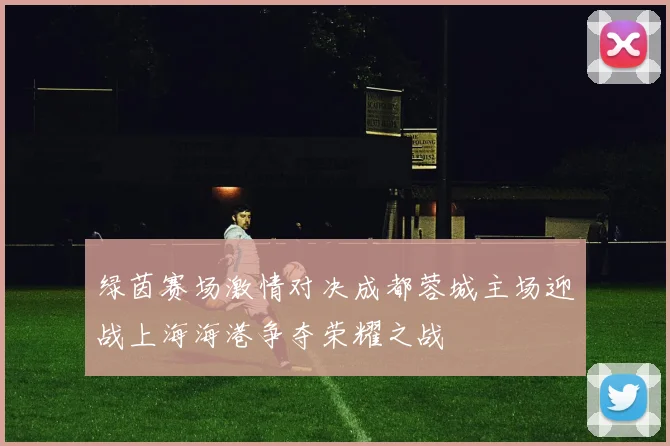 绿茵赛场激情对决成都蓉城主场迎战上海海港争夺荣耀之战