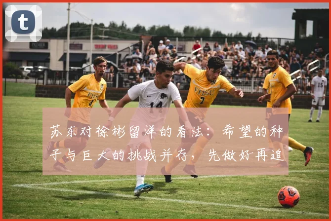 苏东对徐彬留洋的看法：希望的种子与巨大的挑战并存，先做好再追求完美